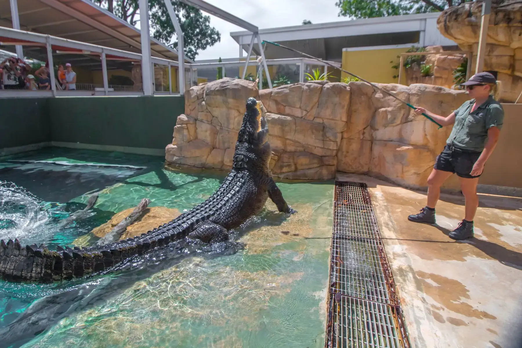 Crocosaurus Cove