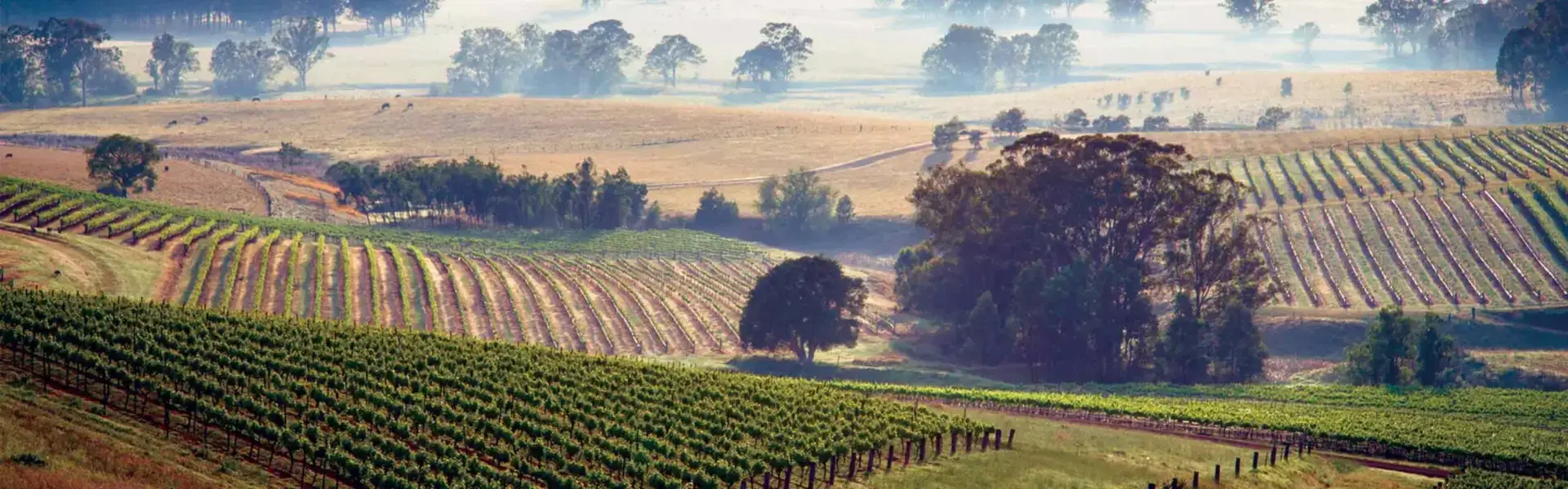 Hunter Valley Regional Guide