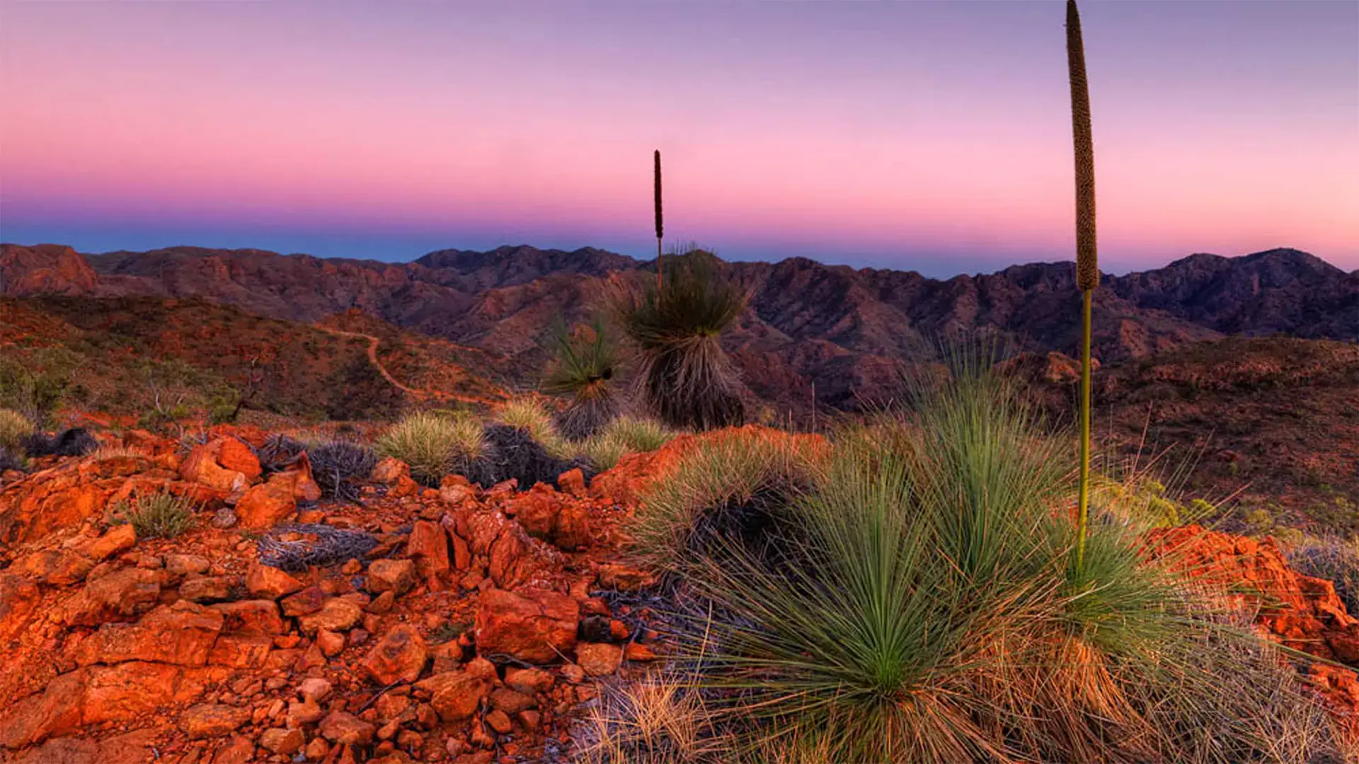Ikara-Flinders Ranges National Park
