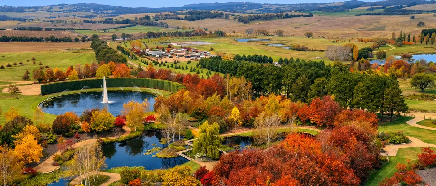 Oberon, Blue Mountains