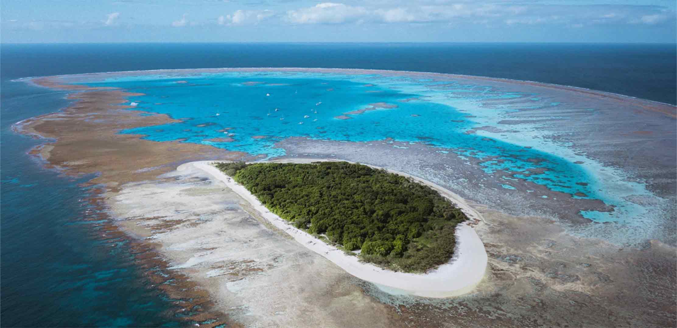 Lady Musgrave Island