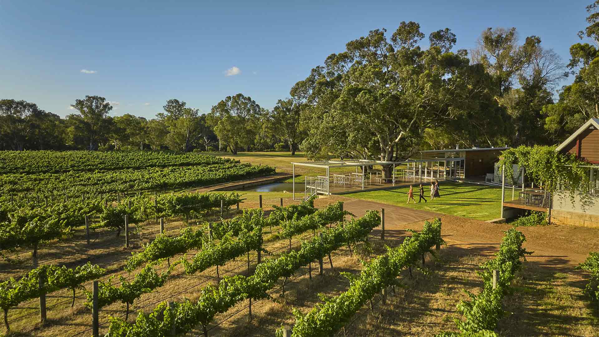 Sandalford Wines located in the Swan Valley