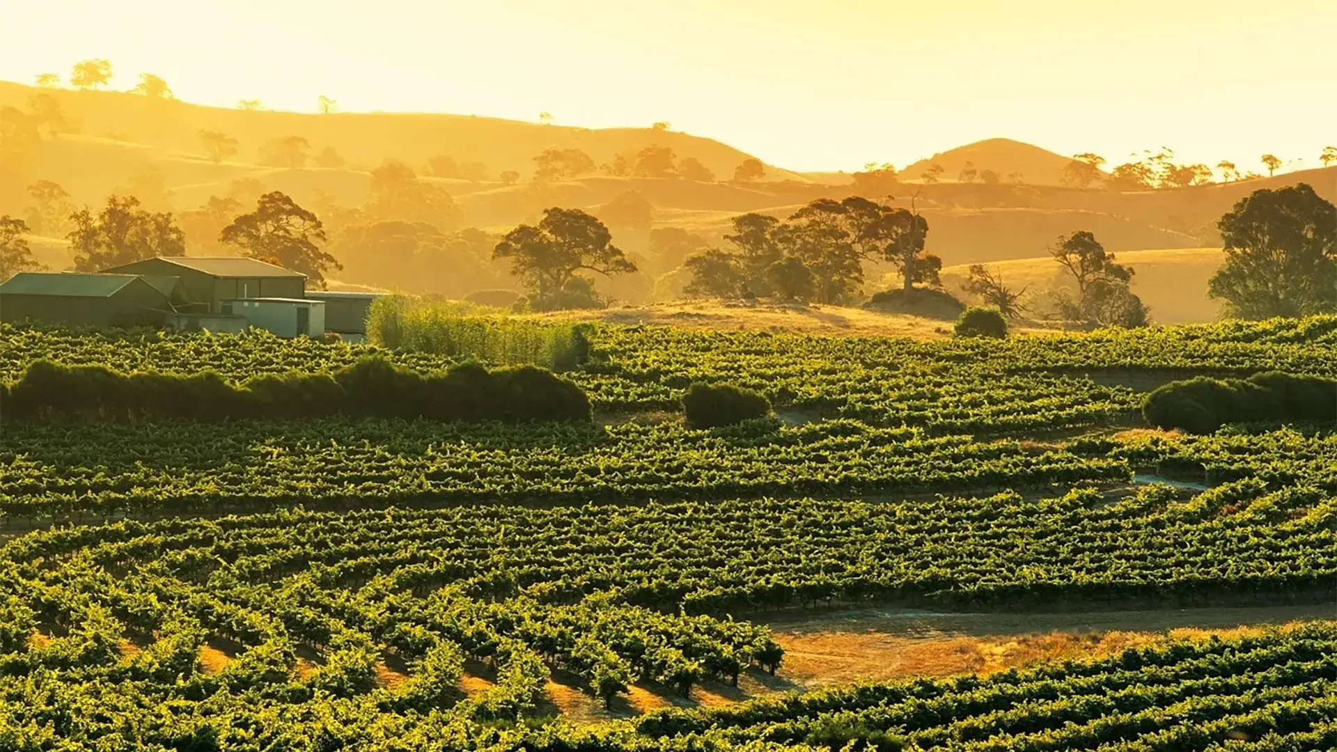 Barossa Valley in South Australia